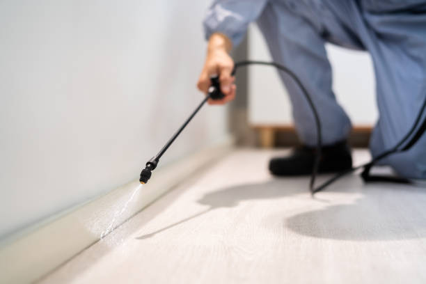 Licensed Pest Control service in Ellicott, CO - Show Me Pest Control