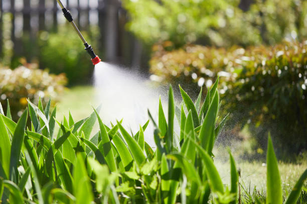 24/7 Emergency Mosquito Control experts in Ellicott, CO