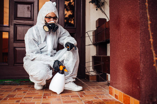 Reliable Mosquito Control contractor in Ellicott, CO by Show Me Pest Control